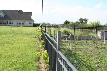 2010-06-28-New-House-087-Back-Yard.JPG