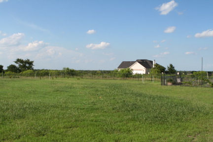 2010-06-28-New-House-094-Back-Yard.JPG