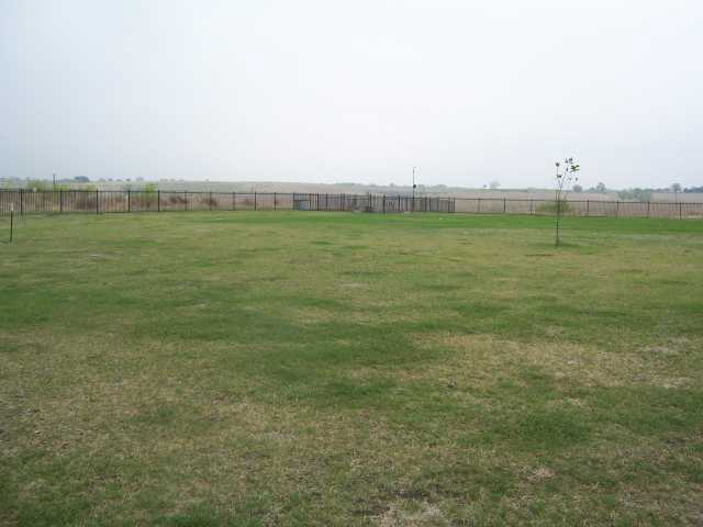 BackYard-Garden.jpg