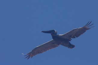 IMG_0486.jpg