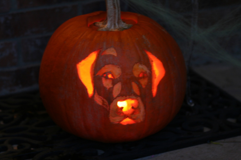 2010/10(October)/Halloween/1024x768_2010-10-31-Halloween-32-pumpkin.JPG