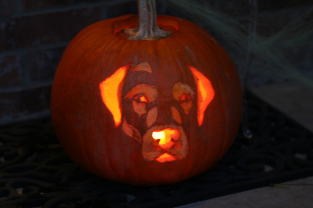 2010-10-31-Halloween-32-pumpkin.JPG