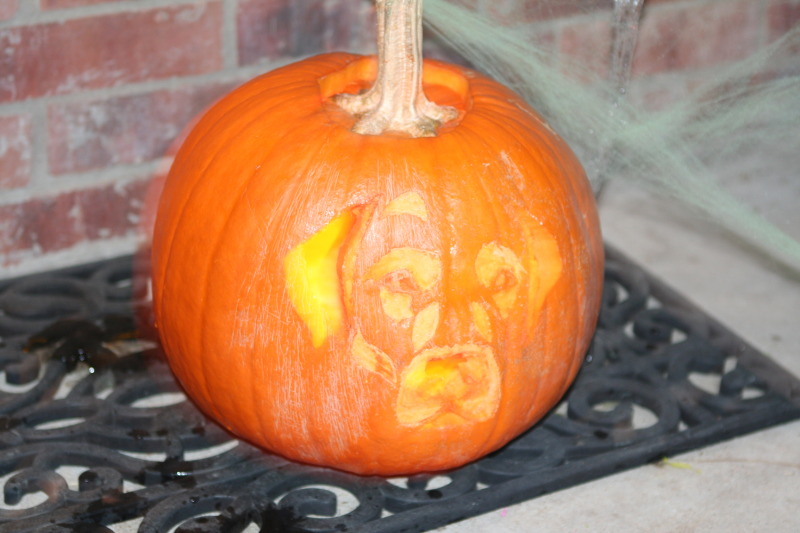 2010/10(October)/Halloween/800x600_2010-10-31-Halloween-31-pumpkin.JPG