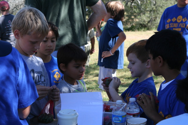 2010/10(October)/Pack409-Inks-Lake/640x480_2010-10-16-Pack409-Inks-Lake-044.JPG