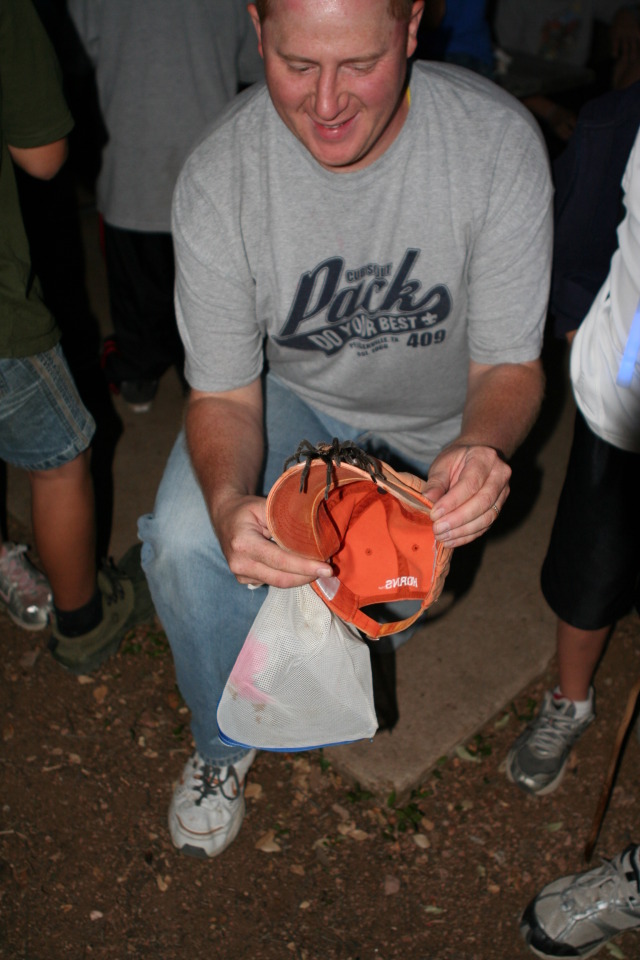 2010/10(October)/Pack409-Inks-Lake/640x480_2010-10-16-Pack409-Inks-Lake-159-tarantula.JPG