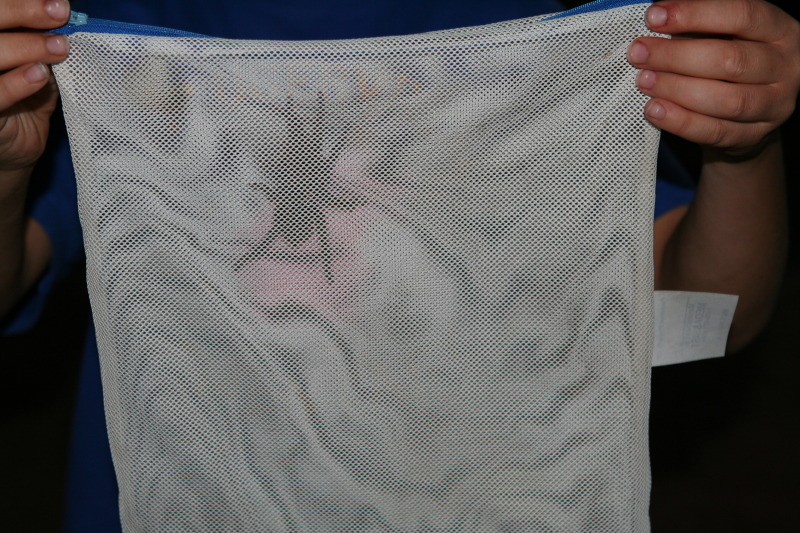 2010/10(October)/Pack409-Inks-Lake/800x600_2010-10-16-Pack409-Inks-Lake-154-tarantula.JPG