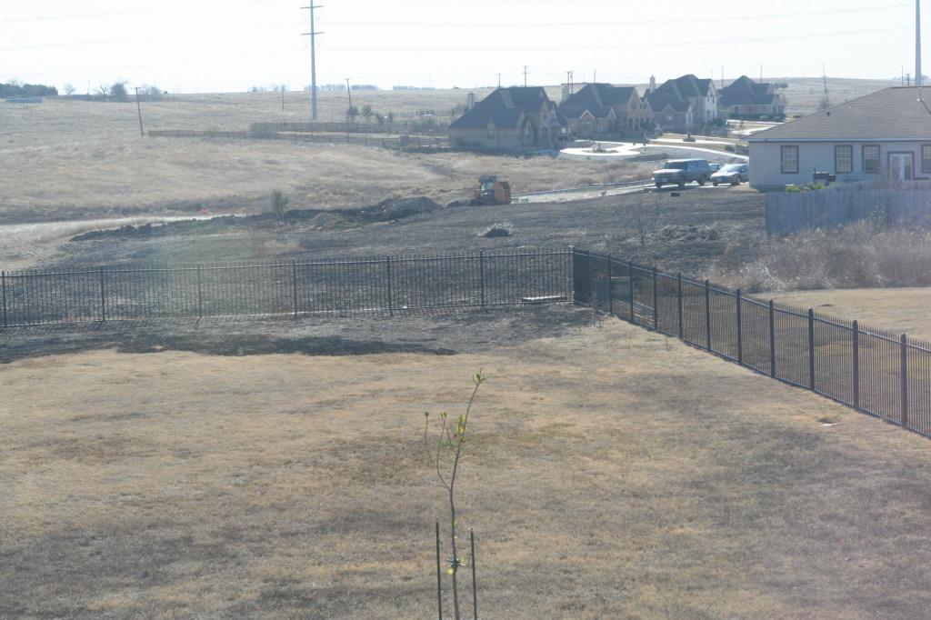 2011-01-01-Neighbor-back-yard-2.JPG