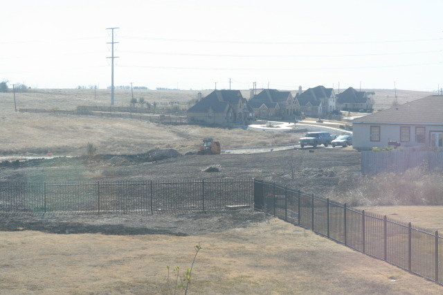 2011-01-01-Neighbor-back-yard-4.JPG