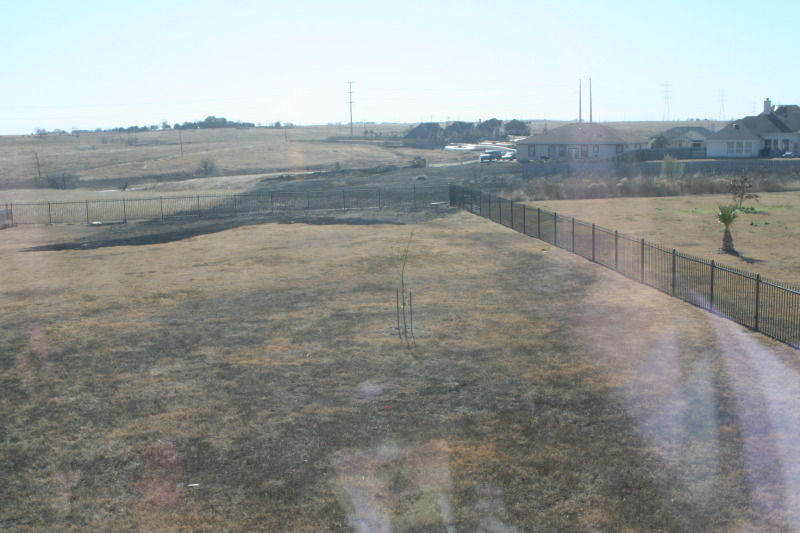 2011-01-01-Neighbor-back-yard-1.JPG