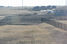 2011-01-01-Neighbor-back-yard-2.JPG
