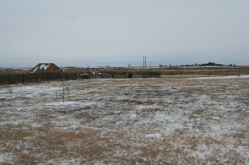 2011/02(February)/Snow-in-Austin/1024x768_2011-02-04-Snow-in-Hutto-04.JPG
