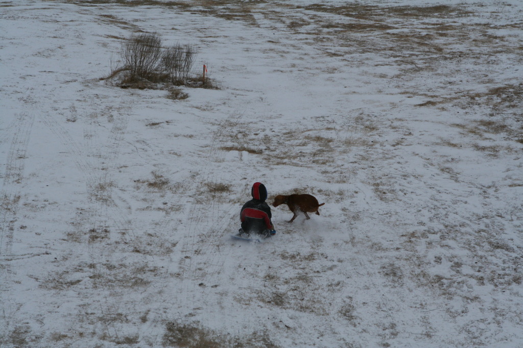 2011/02(February)/Snow-in-Austin/1024x768_2011-02-04-Snow-in-Hutto-53-Chanc-Bevo.JPG