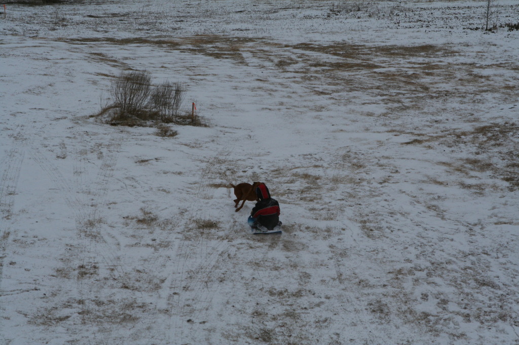 2011/02(February)/Snow-in-Austin/1024x768_2011-02-04-Snow-in-Hutto-55-Chanc-Bevo.JPG