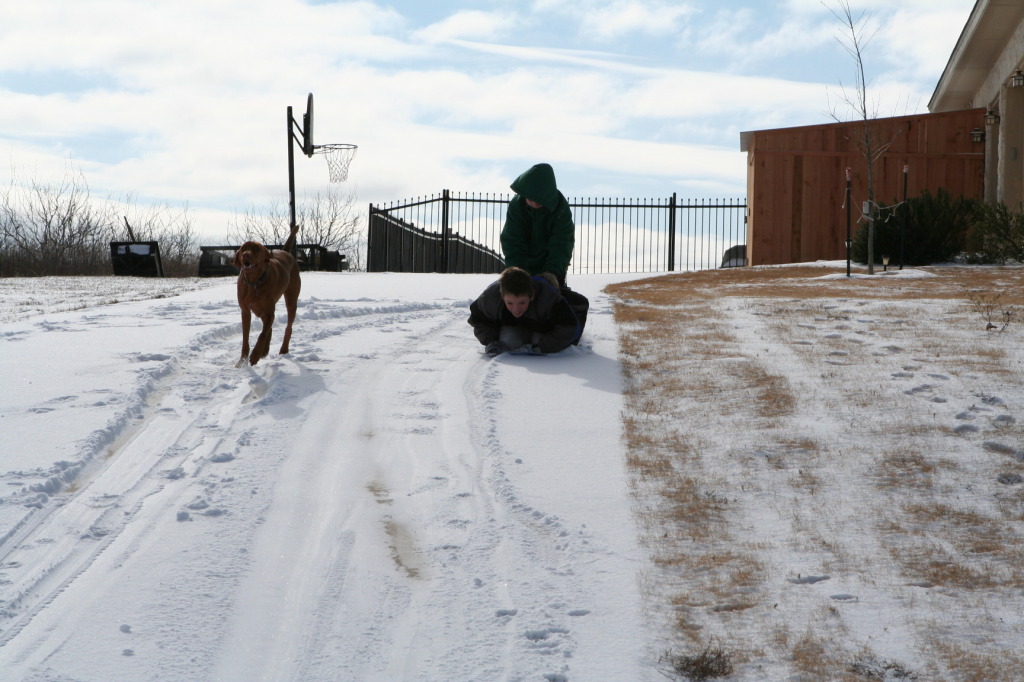 2011/02(February)/Snow-in-Austin/1024x768_2011-02-04-Snow-in-Hutto-61-Dax-Case.JPG