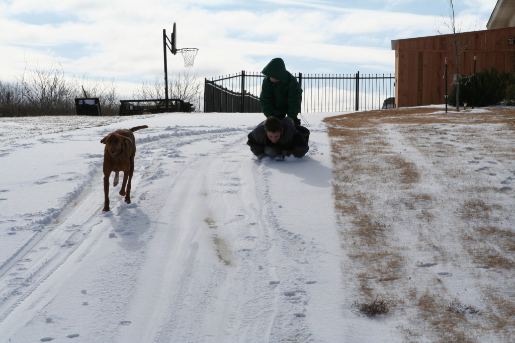 2011/02(February)/Snow-in-Austin/1024x768_2011-02-04-Snow-in-Hutto-63-Dax-Case-Bevo.JPG