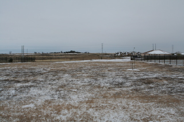 2011-02-04-Snow-in-Hutto-03.JPG