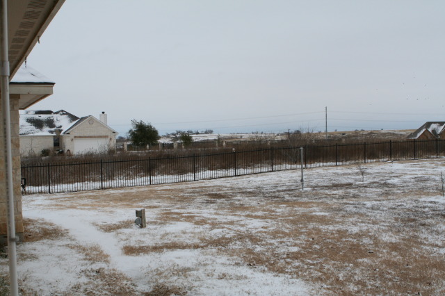 2011-02-04-Snow-in-Hutto-05.JPG