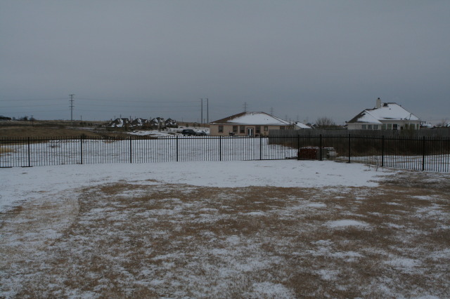 2011-02-04-Snow-in-Hutto-16.JPG