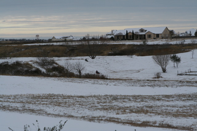 2011-02-04-Snow-in-Hutto-24.JPG