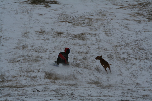 2011-02-04-Snow-in-Hutto-51-Chanc-Bevo.JPG