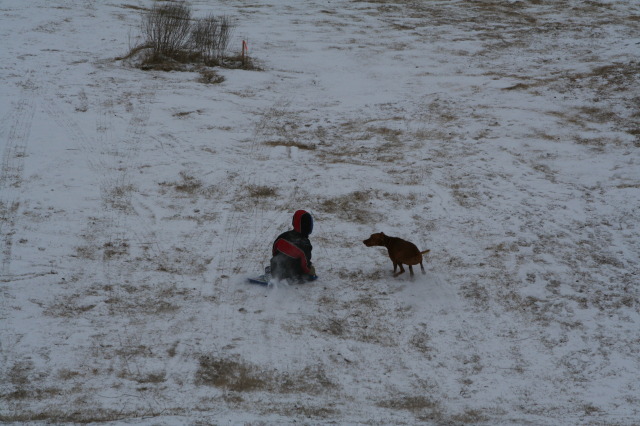 2011/02(February)/Snow-in-Austin/640x480_2011-02-04-Snow-in-Hutto-52-Chanc-Bevo.JPG
