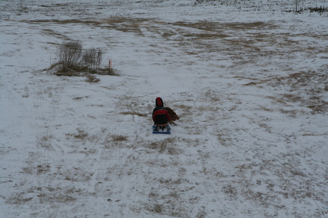 2011-02-04-Snow-in-Hutto-56-Chanc-Bevo.JPG