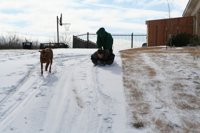 2011-02-04-Snow-in-Hutto-62-Dax-Case.JPG