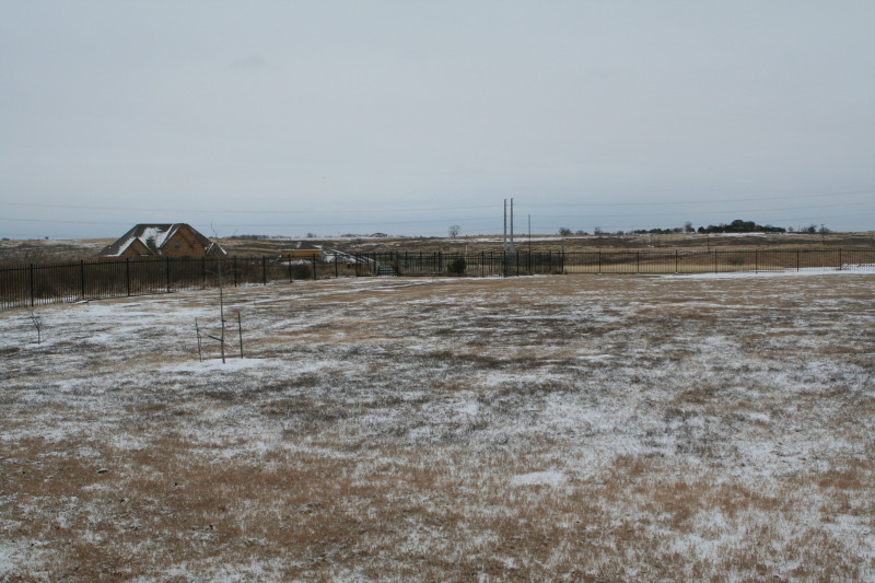 2011/02(February)/Snow-in-Austin/800x600_2011-02-04-Snow-in-Hutto-04.JPG