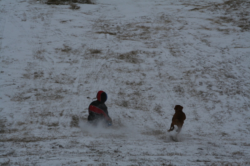2011/02(February)/Snow-in-Austin/800x600_2011-02-04-Snow-in-Hutto-50-Chanc-Bevo.JPG
