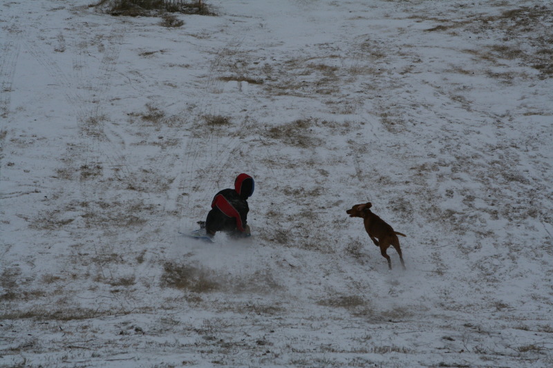 2011/02(February)/Snow-in-Austin/800x600_2011-02-04-Snow-in-Hutto-51-Chanc-Bevo.JPG