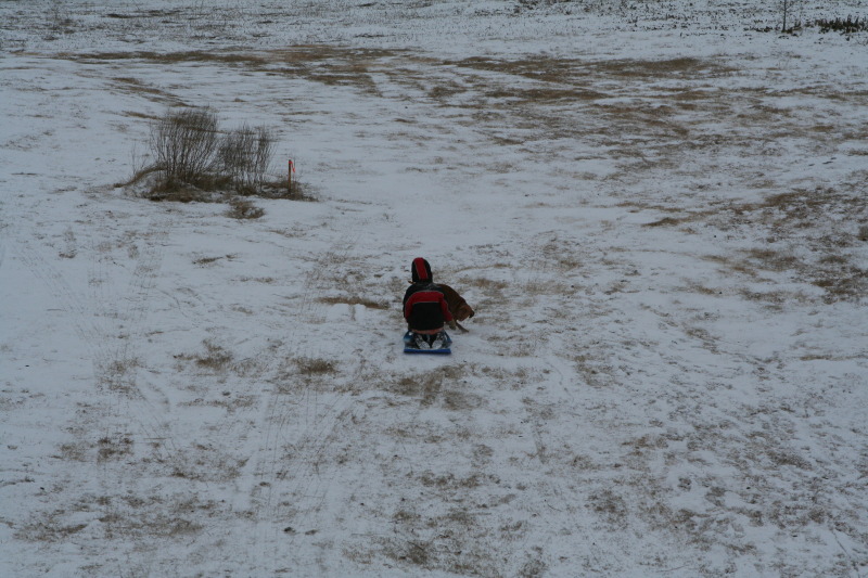 2011/02(February)/Snow-in-Austin/800x600_2011-02-04-Snow-in-Hutto-56-Chanc-Bevo.JPG