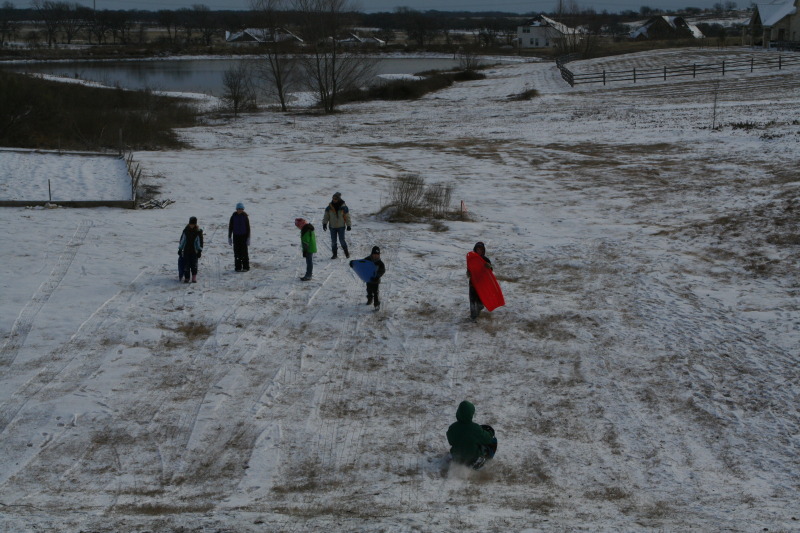 2011/02(February)/Snow-in-Austin/800x600_2011-02-04-Snow-in-Hutto-60-Dax.JPG
