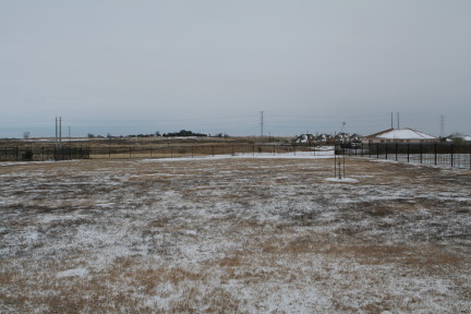 2011-02-04-Snow-in-Hutto-03.JPG