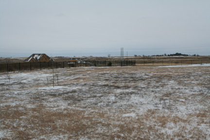 2011-02-04-Snow-in-Hutto-04.JPG