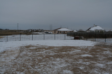 2011-02-04-Snow-in-Hutto-16.JPG