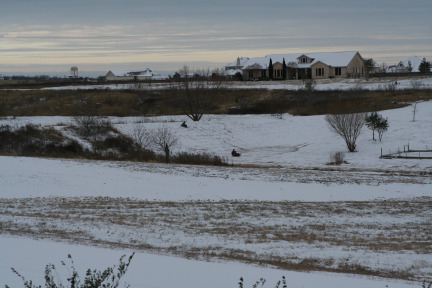 2011-02-04-Snow-in-Hutto-25.JPG