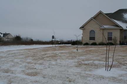 2011-02-04-Snow-in-Hutto-29.JPG