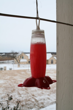 2011-02-04-Snow-in-Hutto-38-frozen-HummingBird-water.JPG