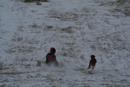 2011-02-04-Snow-in-Hutto-50-Chanc-Bevo.JPG