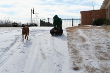 2011-02-04-Snow-in-Hutto-62-Dax-Case.JPG