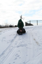 2011-02-04-Snow-in-Hutto-67-Dax-Case.JPG