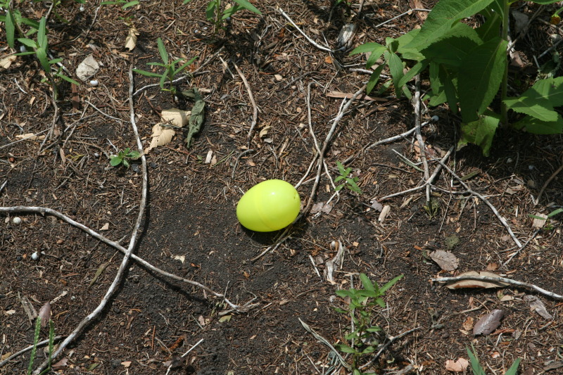 2011-04-24-Easter-40.JPG
