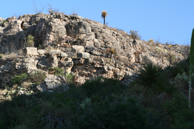 2011/06(June)/Troop-214-Summer-Camp/2-Carlsbad-Caverns/640x480_2011-06-26-Troop214-11-Carlsbad.JPG