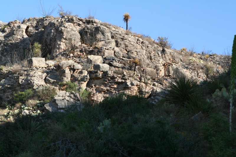 2011/06(June)/Troop-214-Summer-Camp/2-Carlsbad-Caverns/800x600_2011-06-26-Troop214-11-Carlsbad.JPG