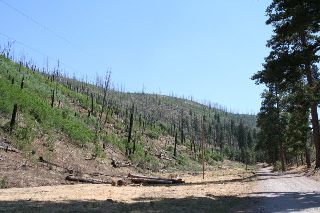 2011/06(June)/Troop-214-Summer-Camp/3-Camp-Wehinahpay/640x480_2011-06-26-Troop214-72-Camp-Wehinahpay-arrival.JPG