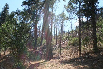 2011-06-26-Troop214-66-Camp-Wehinahpay-arrival.JPG