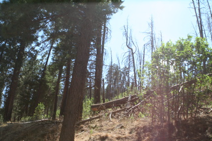 2011-06-26-Troop214-67-Camp-Wehinahpay-arrival.JPG