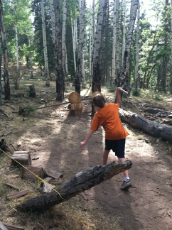 2011-06-30-Troop214-Camp-Wehinahpay-23-Chance.jpg
