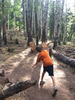 2011-06-30-Troop214-Camp-Wehinahpay-25-Chance.jpg