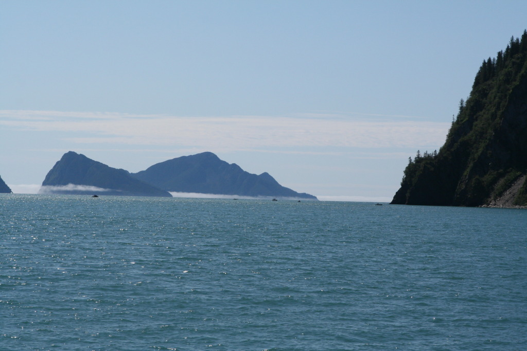 2011/07(July)/Alaska/1_Seward_Exit_Glacier/1024x768_2011-07-13-044-Seward.JPG